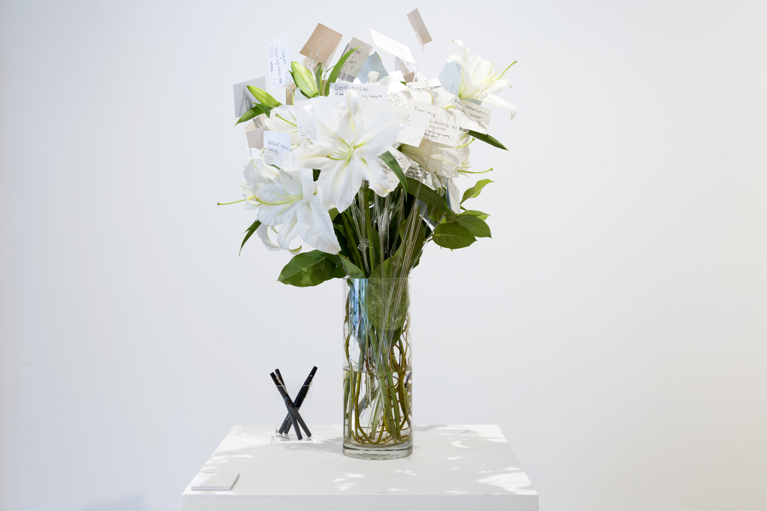Exhibitions – Take Care — WEINBERG/NEWTON GALLERY