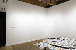 WEINBERG/NEWTON GALLERY
