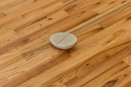 WEINBERG/NEWTON GALLERY