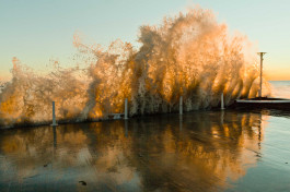 WEINBERG/NEWTON GALLERY