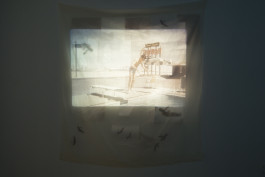 WEINBERG/NEWTON GALLERY