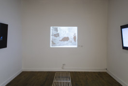 WEINBERG/NEWTON GALLERY