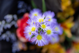 WEINBERG/NEWTON GALLERY