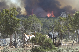 WEINBERG/NEWTON GALLERY